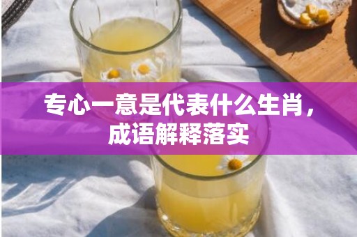专心一意是代表什么生肖，成语解释落实
