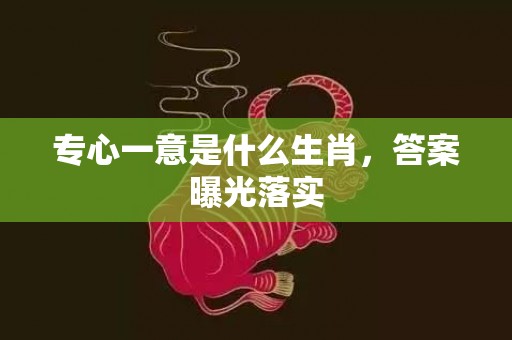 专心一意是什么生肖，答案曝光落实