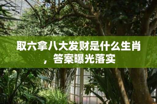 取六拿八大发财是什么生肖，答案曝光落实