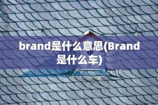 brand是什么意思(Brand是什么车)