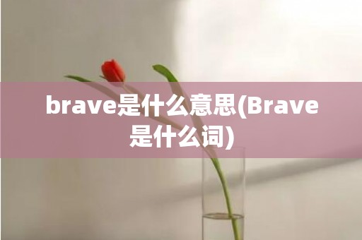 brave是什么意思(Brave是什么词)