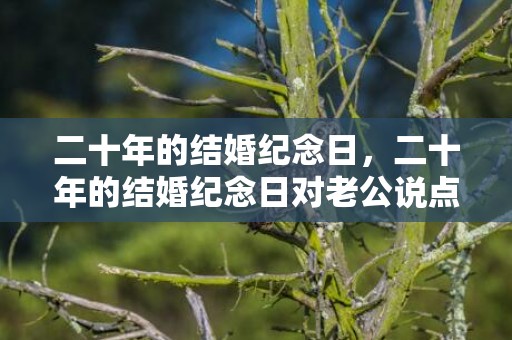 二十年的结婚纪念日，二十年的结婚纪念日对老公说点啥话好呢，结婚20周年对老公说的话