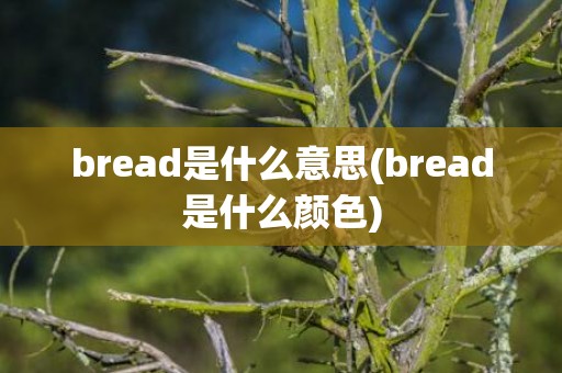 bread是什么意思(bread是什么颜色)