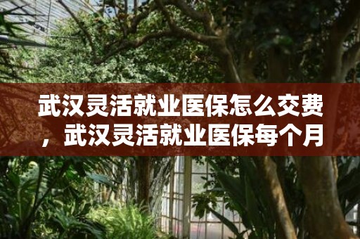 武汉灵活就业医保怎么交费，武汉灵活就业医保每个月返多少2023