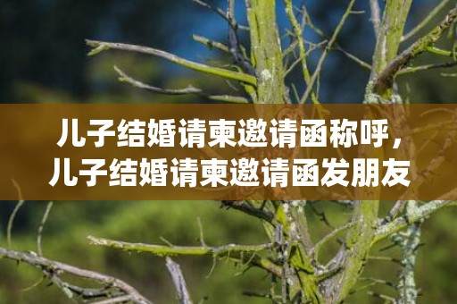 儿子结婚请柬邀请函称呼，儿子结婚请柬邀请函发朋友圈文案怎么写(儿子结婚请柬邀请函模板)
