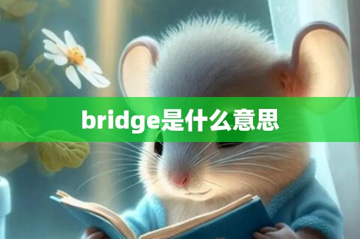 bridge是什么意思