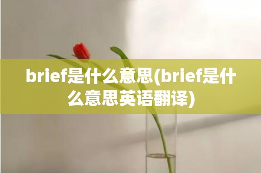 brief是什么意思(brief是什么意思英语翻译)