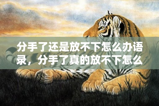 分手了还是放不下怎么办语录，分手了真的放不下怎么办咬挽回吗，分手了怎么办