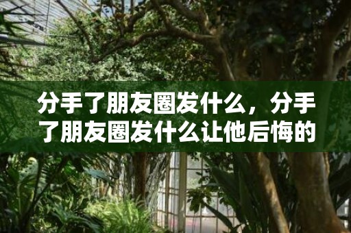 分手了朋友圈发什么，分手了朋友圈发什么让他后悔的话语呢 发朋友圈让男朋友珍惜你的句子