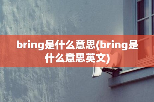 bring是什么意思(bring是什么意思英文)