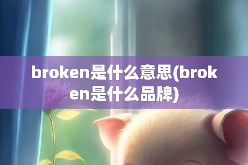 broken是什么意思(broken是什么品牌)