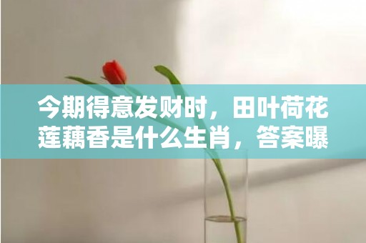 今期得意发财时，田叶荷花莲藕香是什么生肖，答案曝光落实