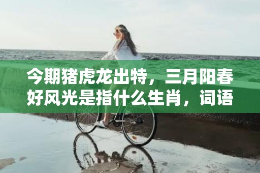 今期猪虎龙出特，三月阳春好风光是指什么生肖，词语解释落实