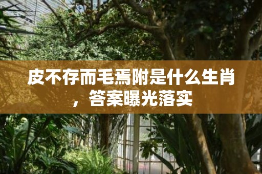 皮不存而毛焉附是什么生肖，答案曝光落实