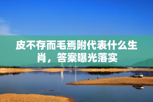 皮不存而毛焉附代表什么生肖，答案曝光落实