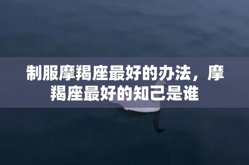 制服摩羯座最好的办法，摩羯座最好的知己是谁