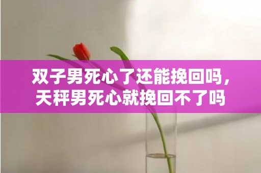 双子男死心了还能挽回吗，天秤男死心就挽回不了吗