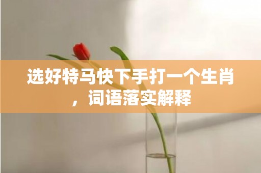选好特马快下手打一个生肖，词语落实解释