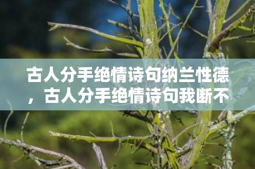 古人分手绝情诗句纳兰性德，古人分手绝情诗句我断不思量,你莫思量我，古人分手绝情诗句简短