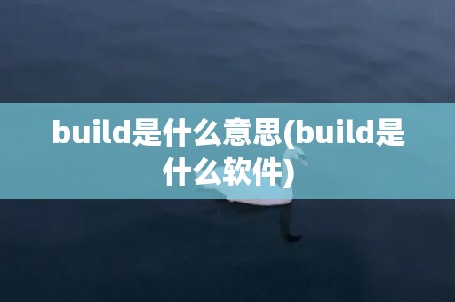 build是什么意思(build是什么软件)