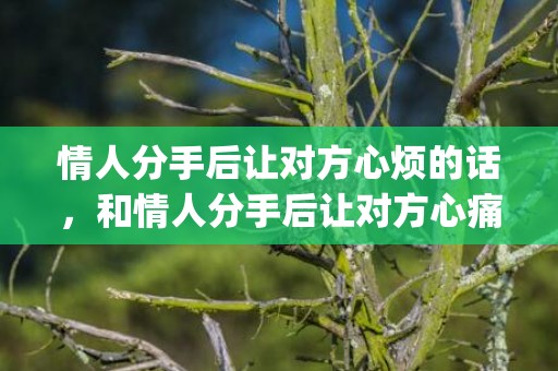 情人分手后让对方心烦的话，和情人分手后让对方心痛的话怎么说(情人怎样分手心才不会难受)