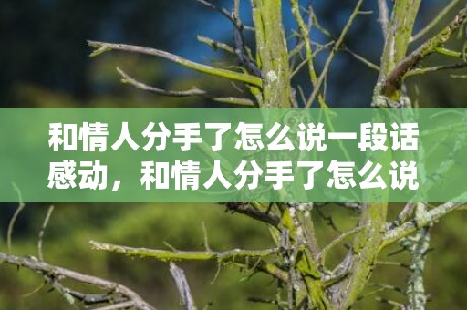 和情人分手了怎么说一段话感动，和情人分手了怎么说一段话感动他的话？发给情人的一段感动的话