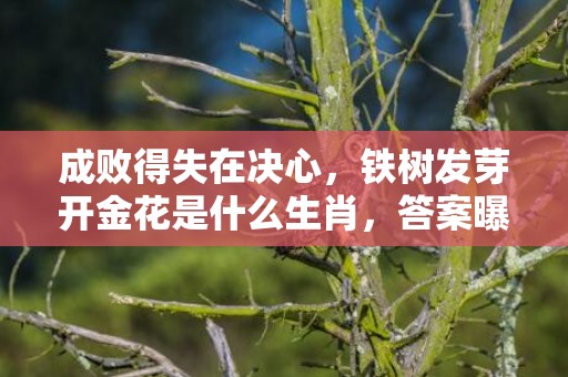 成败得失在决心，铁树发芽开金花是什么生肖，答案曝光落实