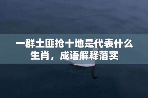 一群土匪抢十地是代表什么生肖，成语解释落实