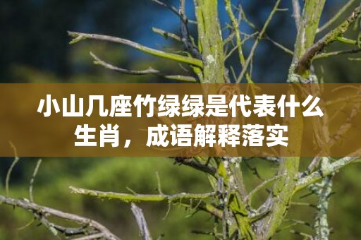 小山几座竹绿绿是代表什么生肖，成语解释落实