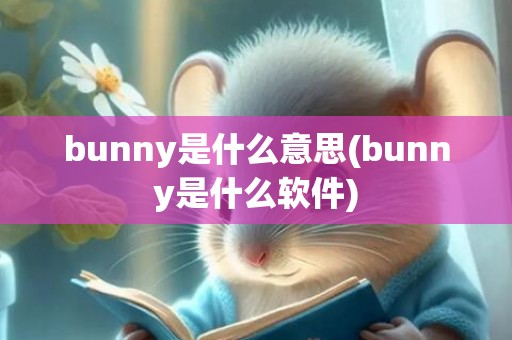 bunny是什么意思(bunny是什么软件)