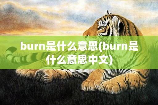 burn是什么意思(burn是什么意思中文)