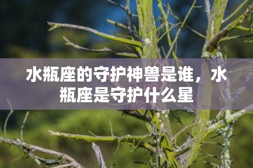 水瓶座的守护神兽是谁，水瓶座是守护什么星