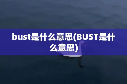 bust是什么意思(BUST是什么意思)