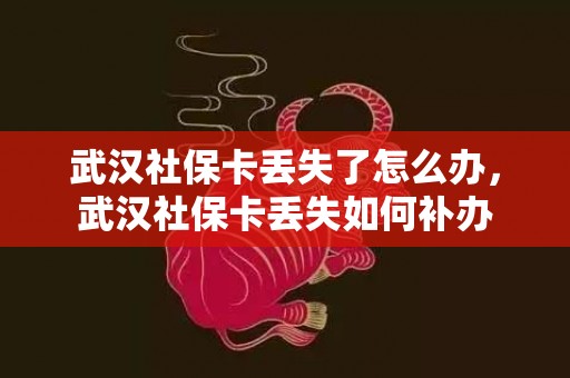 武汉社保卡丢失了怎么办，武汉社保卡丢失如何补办