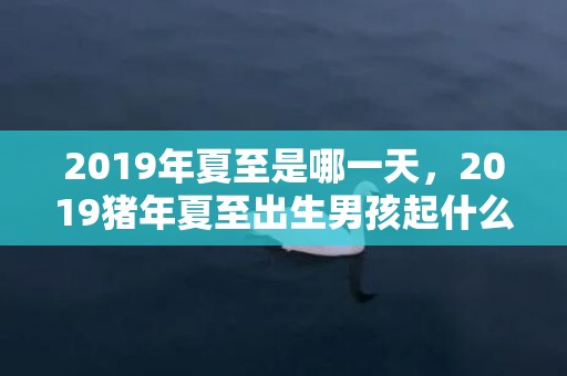 2019年夏至是哪一天，2019猪年夏至出生男孩起什么小名好听