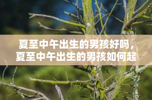 夏至中午出生的男孩好吗，夏至中午出生的男孩如何起名字