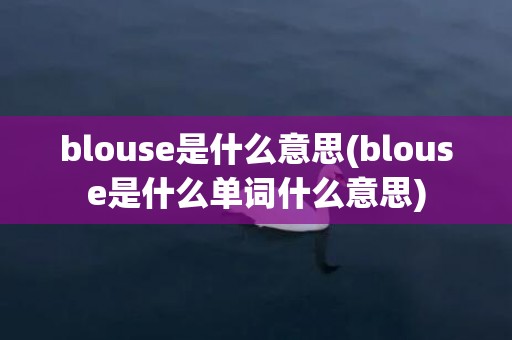 blouse是什么意思(blouse是什么单词什么意思)