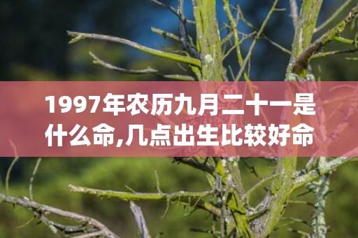 1997年农历九月二十一是什么命,几点出生比较好命(1997年农历九月二十一是什么星座)