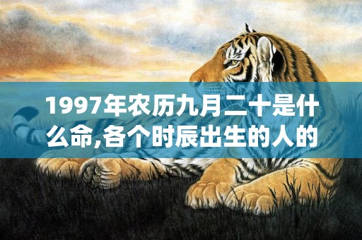 1997年农历九月二十是什么命,各个时辰出生的人的命运(1997年农历九月初八是什么星座)