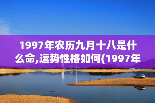 1997年农历九月十八是什么命,运势性格如何(1997年农历九月初九是什么星座)