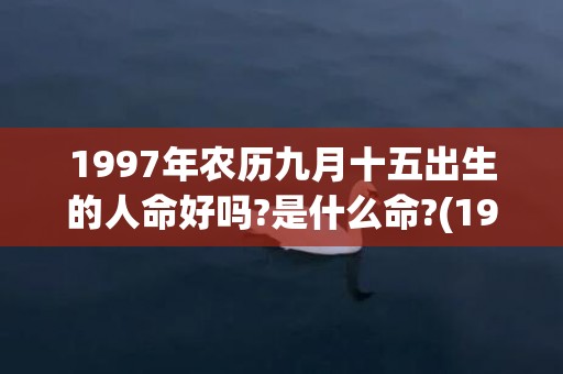 1997年农历九月十五出生的人命好吗?是什么命?(1997年农历九月初四是什么星座)