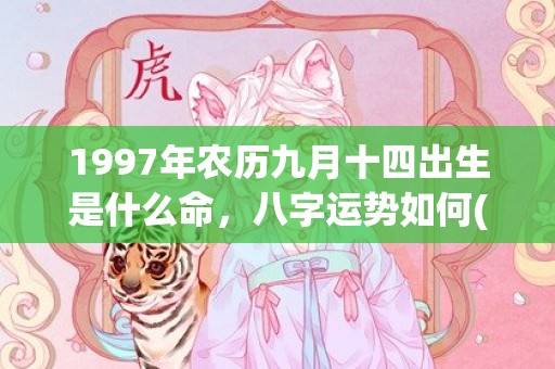 1997年农历九月十四出生是什么命，八字运势如何(1997年农历九月十五阳历是多少)