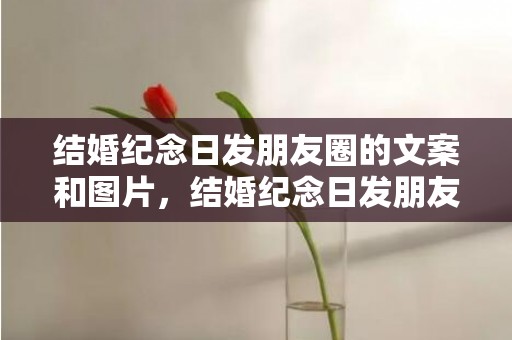 结婚纪念日发朋友圈的文案和图片，结婚纪念日发朋友圈的短句子 22结婚纪念日经典短句