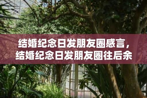 结婚纪念日发朋友圈感言，结婚纪念日发朋友圈往后余生？六周年结婚纪念日发朋友圈