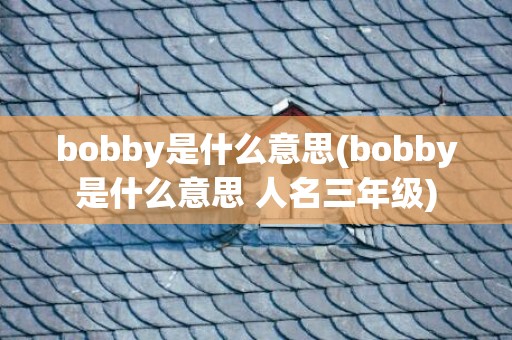bobby是什么意思(bobby是什么意思 人名三年級)