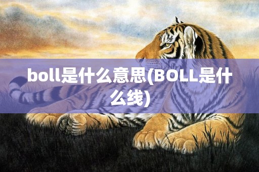 boll是什么意思(BOLL是什么线)