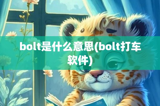 bolt是什么意思(bolt打车软件)
