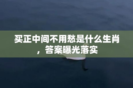 买正中间不用愁是什么生肖，答案曝光落实
