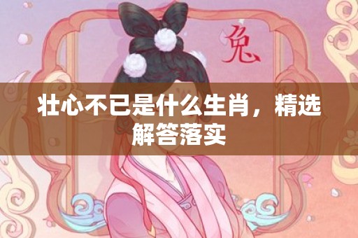 壮心不已是什么生肖，精选解答落实