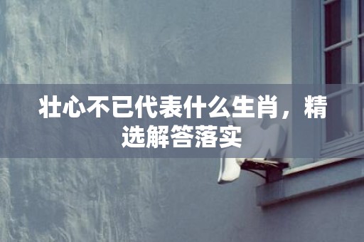 壮心不已代表什么生肖，精选解答落实